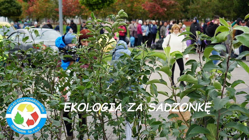 Zakończenie akcji „Ekologia za sadzonkę”